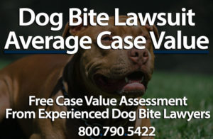 Average Settlement Value & Compensation For Dog Bite Case