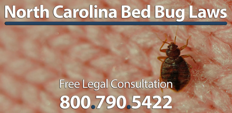 Know The Bed Bug Laws In North Carolina | Normandie Law