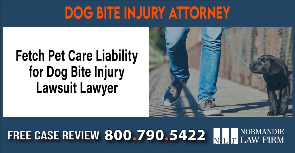 Fetch Pet Care Liability for Dog Bite Injury Lawsuit Lawyer sue liability attorney