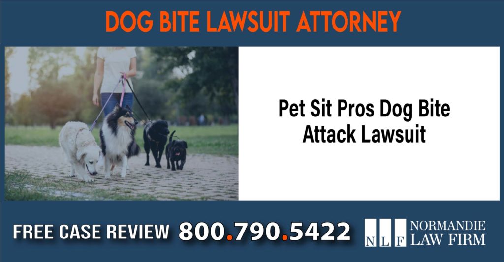 Pet Sit Pros Dog Bite Attack Lawsuit Attorneys sue compensation incident liability liable