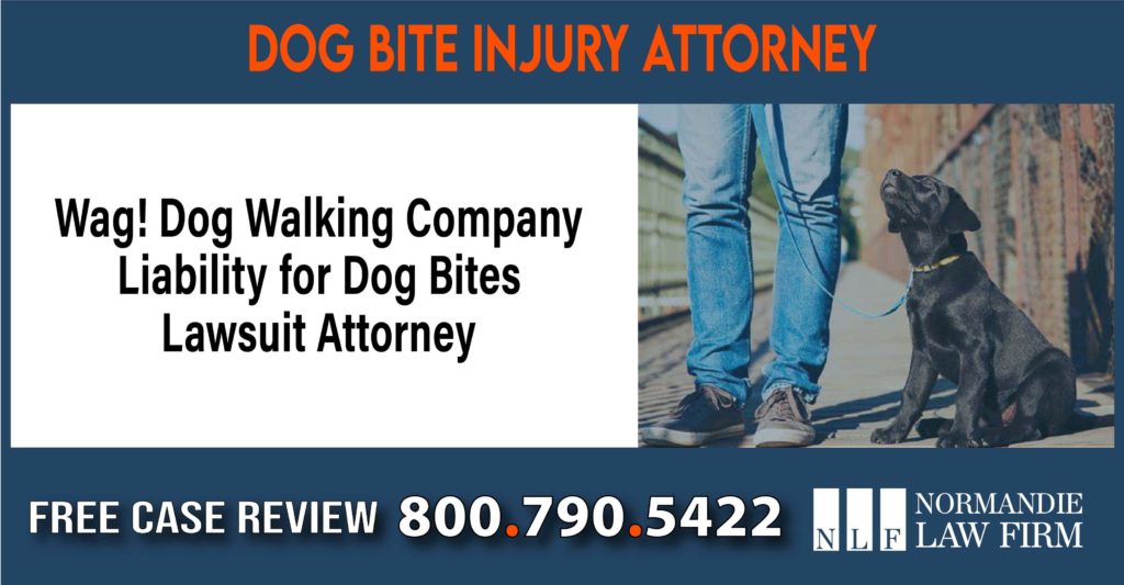 Wag! Dog Walking Company Liability for Dog Bites Lawsuit Attorney sue liability lawyer
