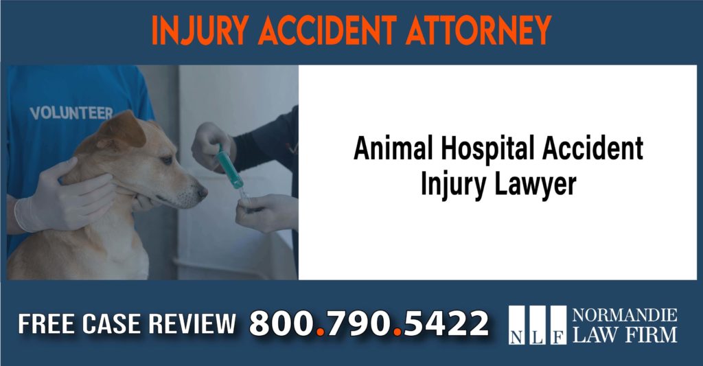 Animal Hospital Accident Injury Lawyer sue liability lawyer compensation incident