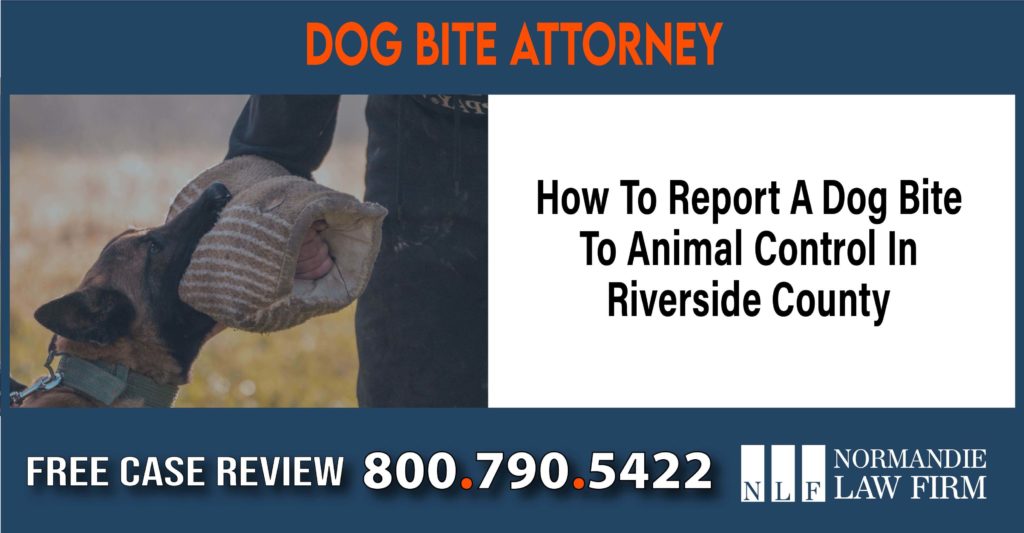 How To Report A Dog Bite To Animal Control In Riverside County sue liability attorney lawyer