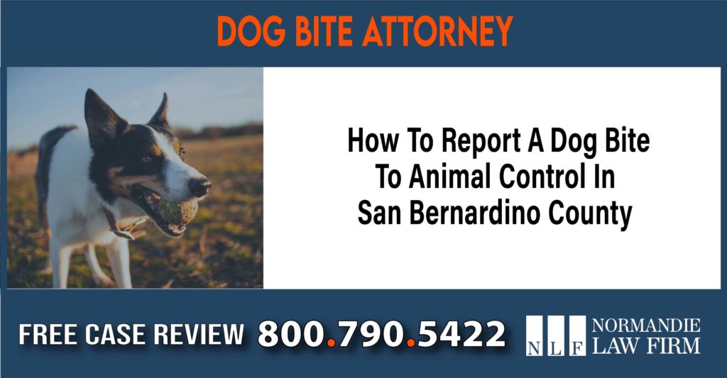 How To Report A Dog Bite To Animal Control In San Bernardino County sue liability lawyer attonorney