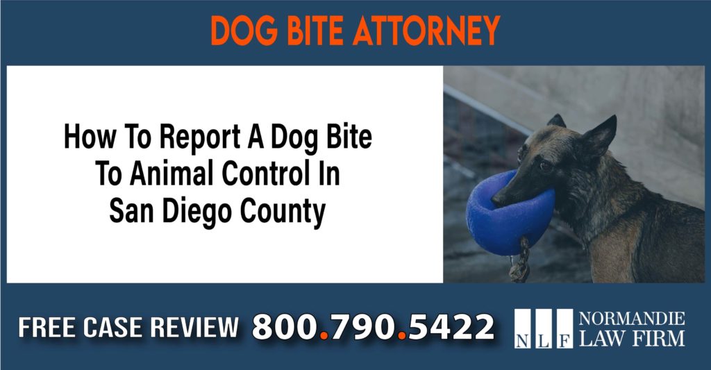 How To Report A Dog Bite To Animal Control In San Diego County sue liability lawyer compensation incident