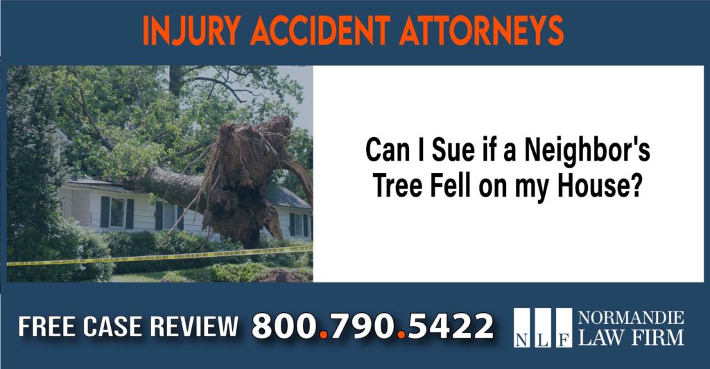 Can I Sue if a Neighbor's Tree Fell on my House sue liability lawyer attorney