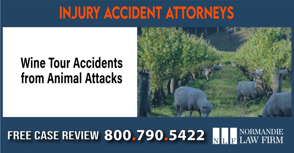 Wine Tour Accidents from Animal Attacks sue liability lawyer compensation incident