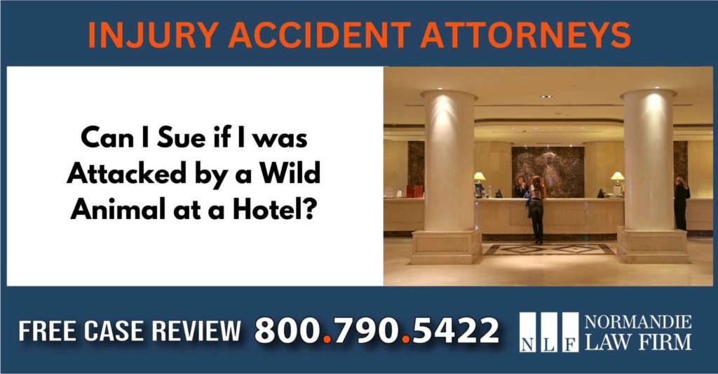 Can I Sue if I was Attacked by a Wild Animal at a Hotel sue attorney lawyer compensation