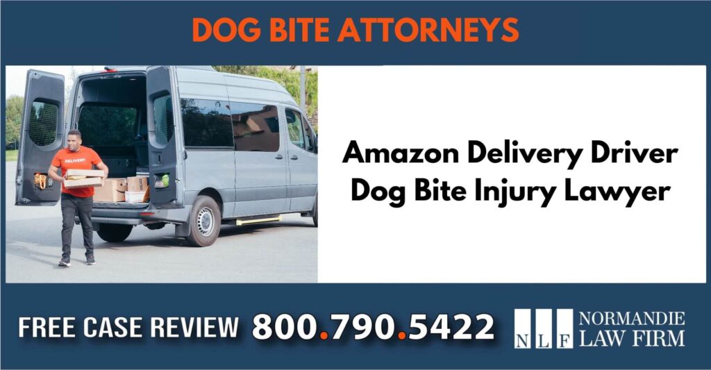 Amazon Delivery Driver Dog Bite Injury Lawyer sue liability incident attorney