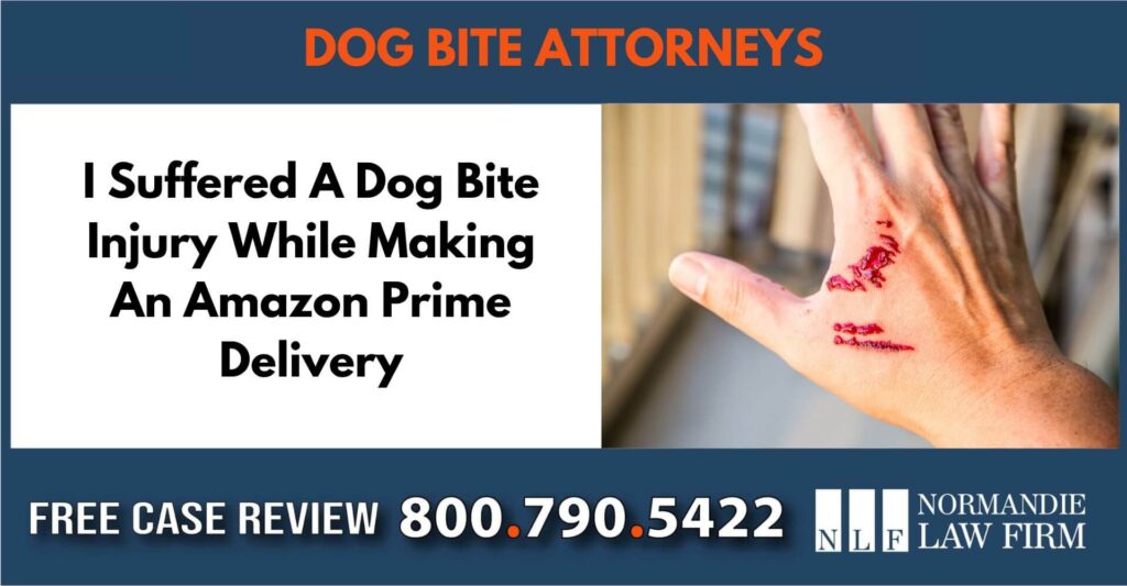 I Suffered A Dog Bite Injury While Making An Amazon Prime Delivery sue liability incident compensation