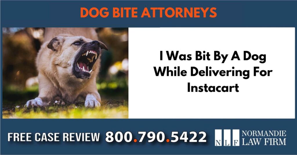 I Was Bit By A Dog While Delivering For Instacart sue liability incident lawyer attorney