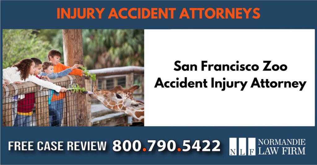 San Francisco Zoo Accident Injury Attorney sue liability incident compensation lawyer attorney