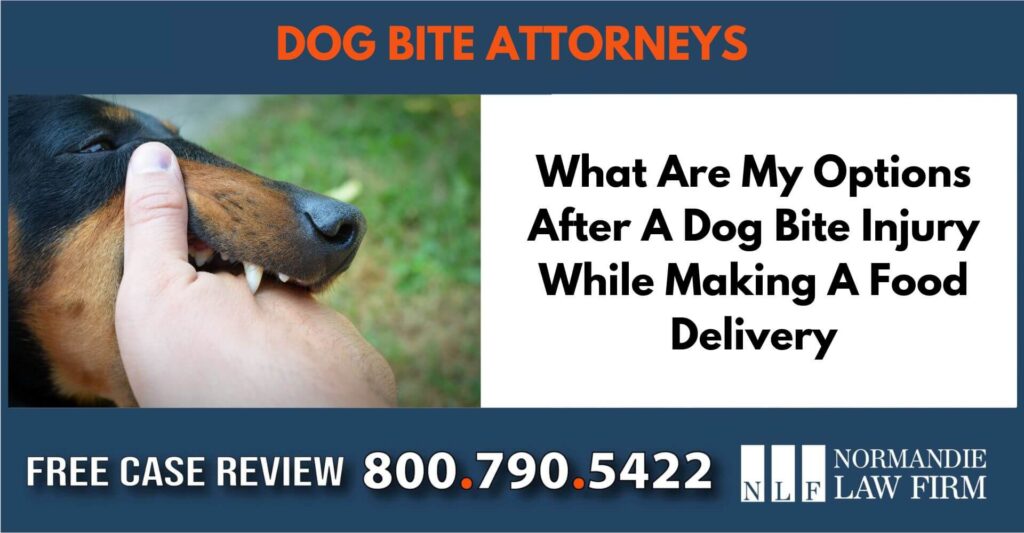 What Are My Options After A Dog Bite Injury While Making A Food Delivery sue liability incident compensation